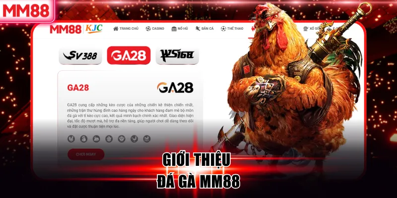 Đá Gà MM88 – Đấu Trường Cược Gà Trực Tuyến Đẳng Cấp 5 Giới thiệu đá gà MM88