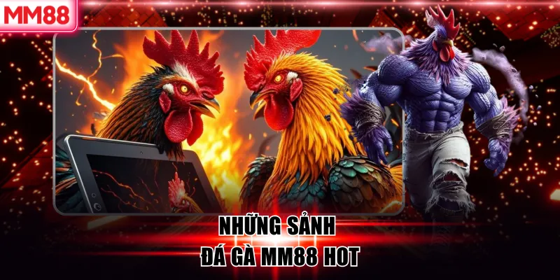 Đá Gà MM88 – Đấu Trường Cược Gà Trực Tuyến Đẳng Cấp 6 Những sảnh đá gà MM88 hot